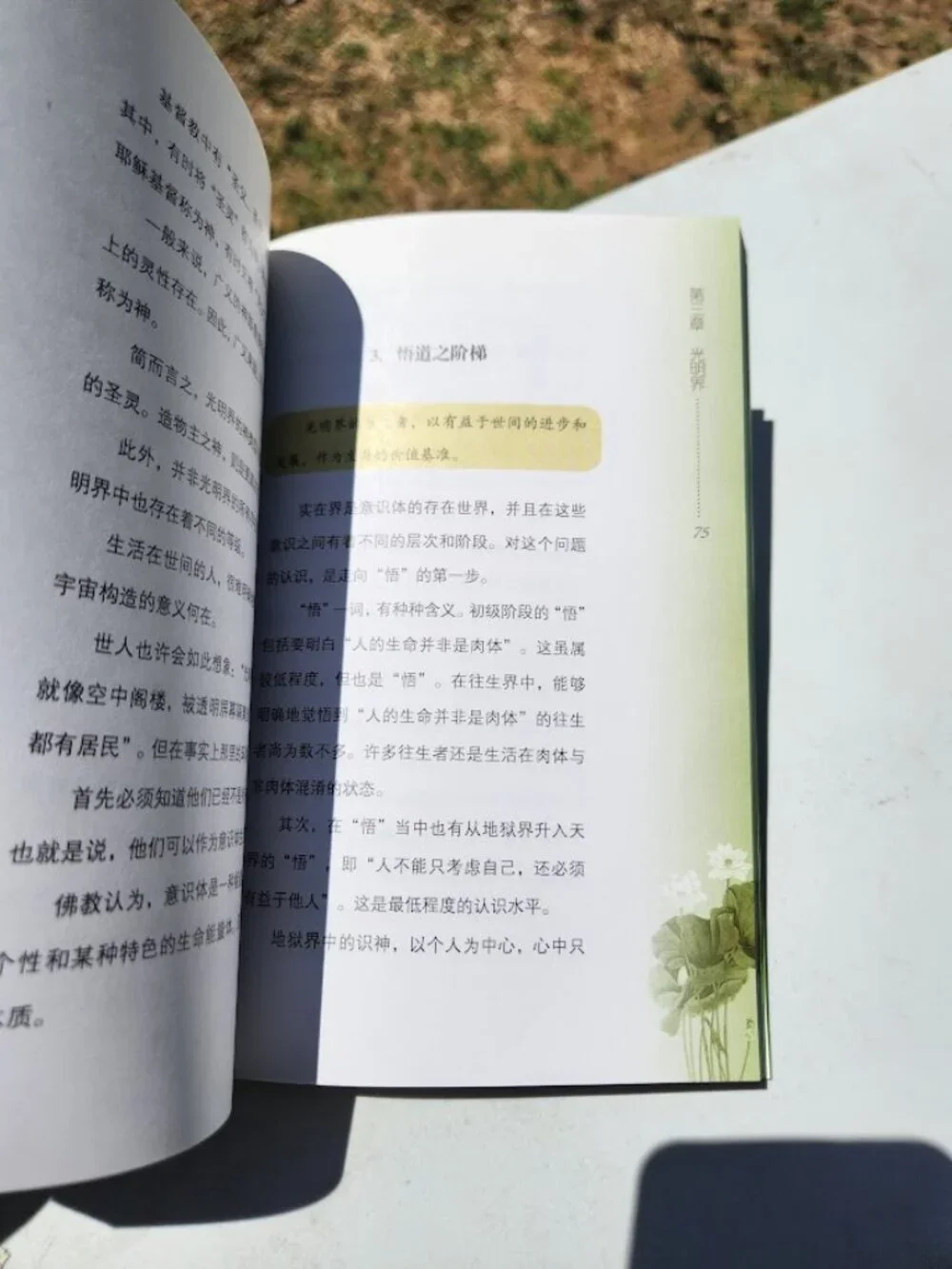 The Laws of Eternity by Ryuho Okawa Chinese edition Happy Science Religious Move